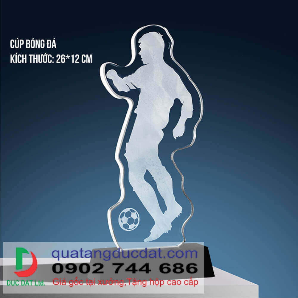 Cúp bóng đá 29
