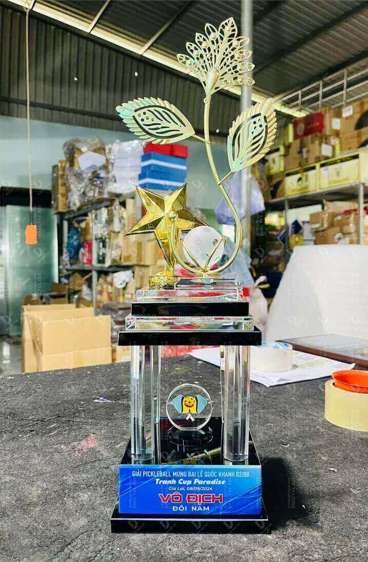 Cúp Pickleball 14