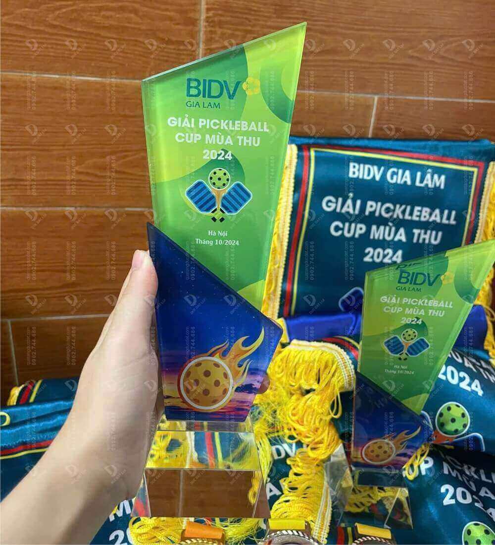 Cúp Pickleball 15