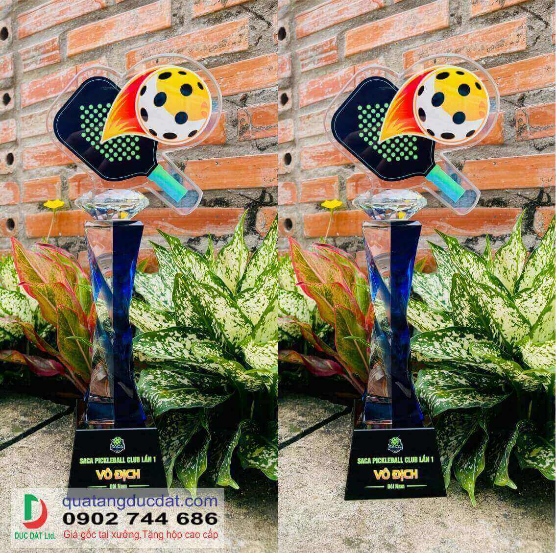 Cúp Pickleball 01