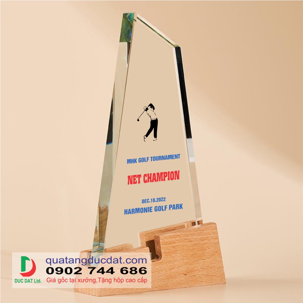 Kỷ niệm chương đế gỗ 11