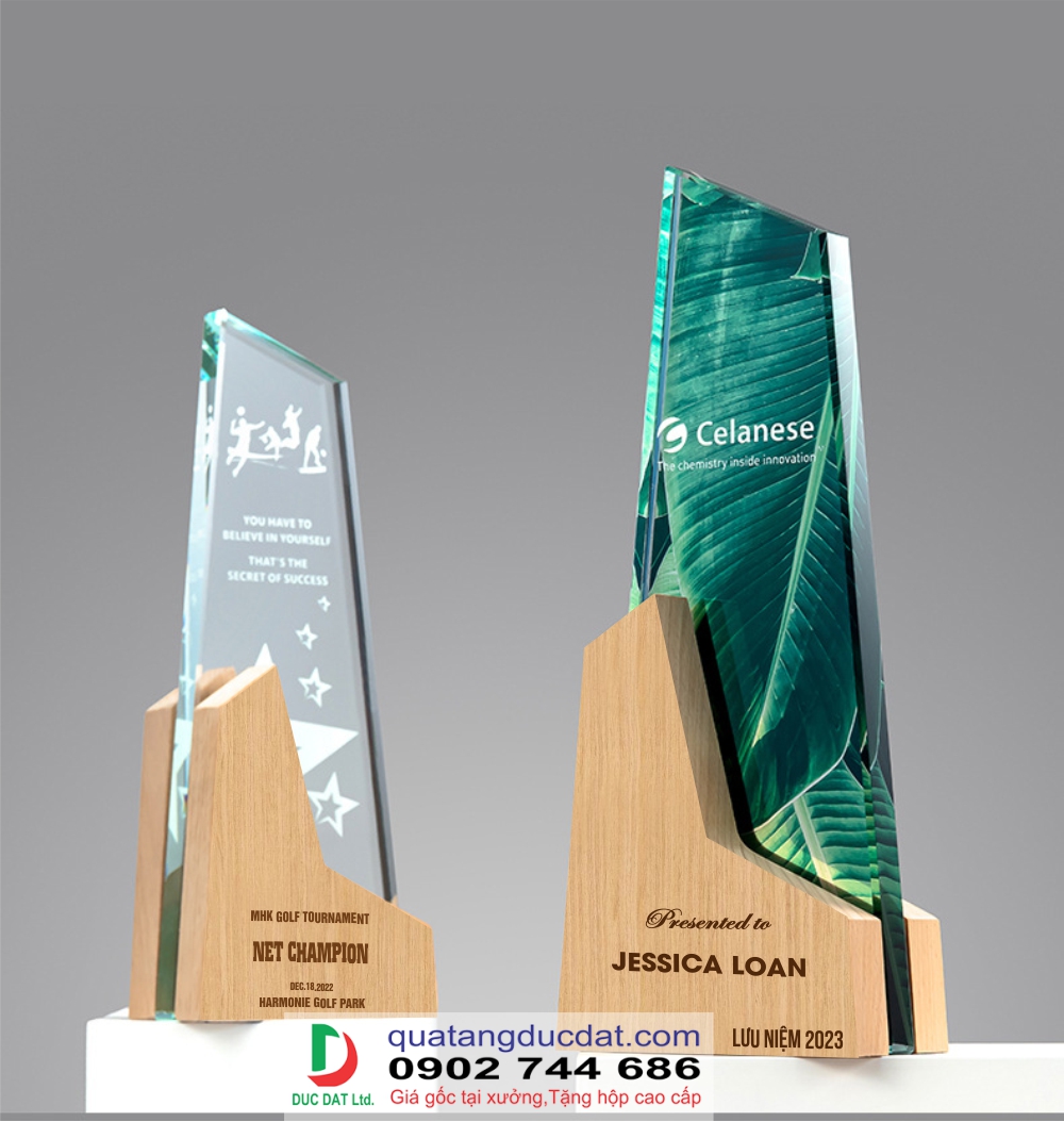 Kỷ niệm chương đế gỗ 12