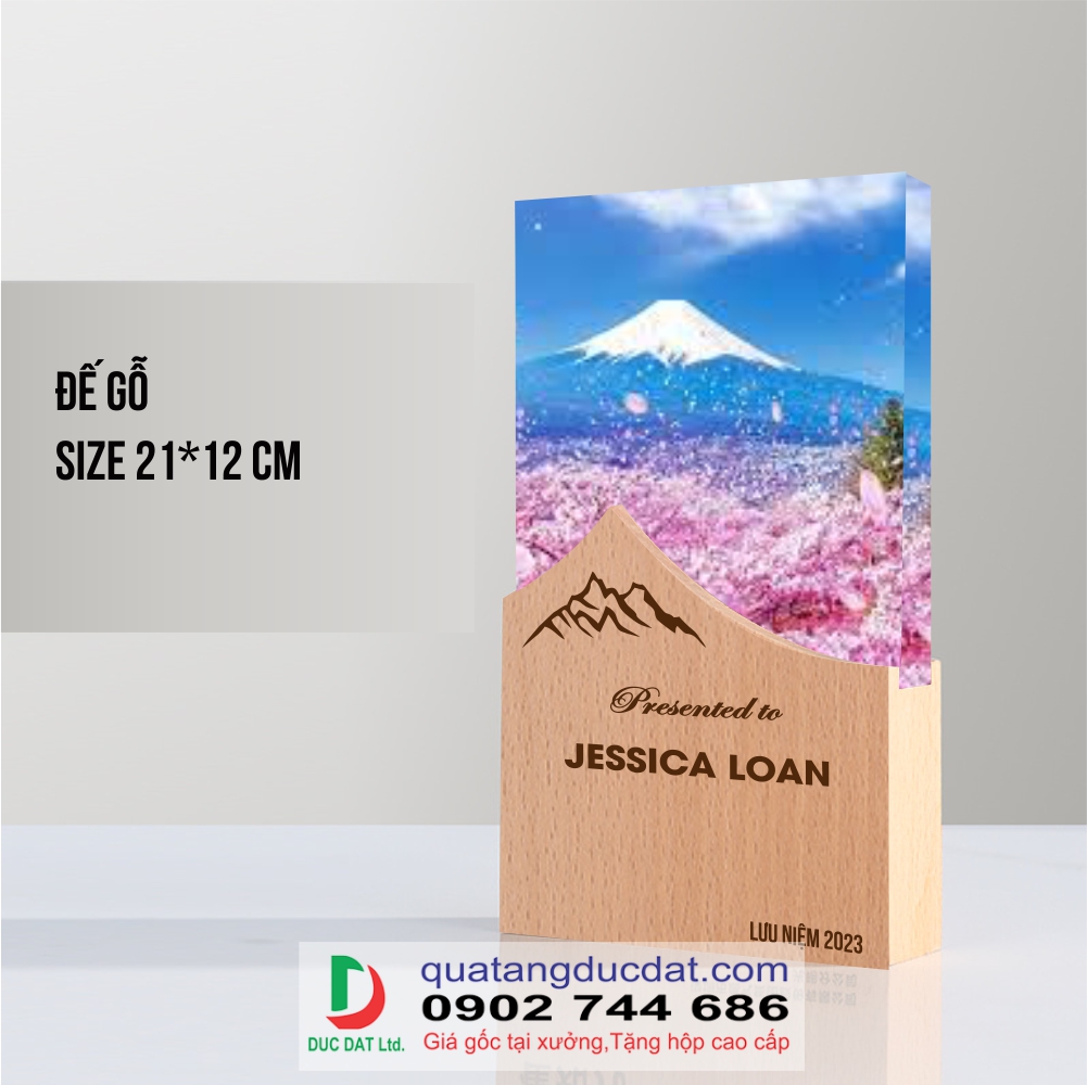 Kỷ niệm chương đế gỗ 16
