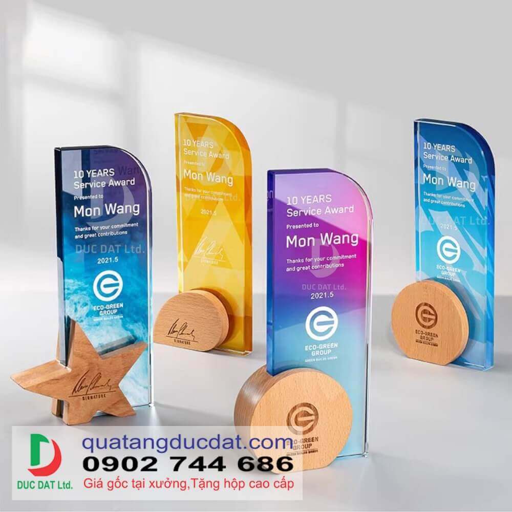 Kỷ niệm chương đế gỗ 31