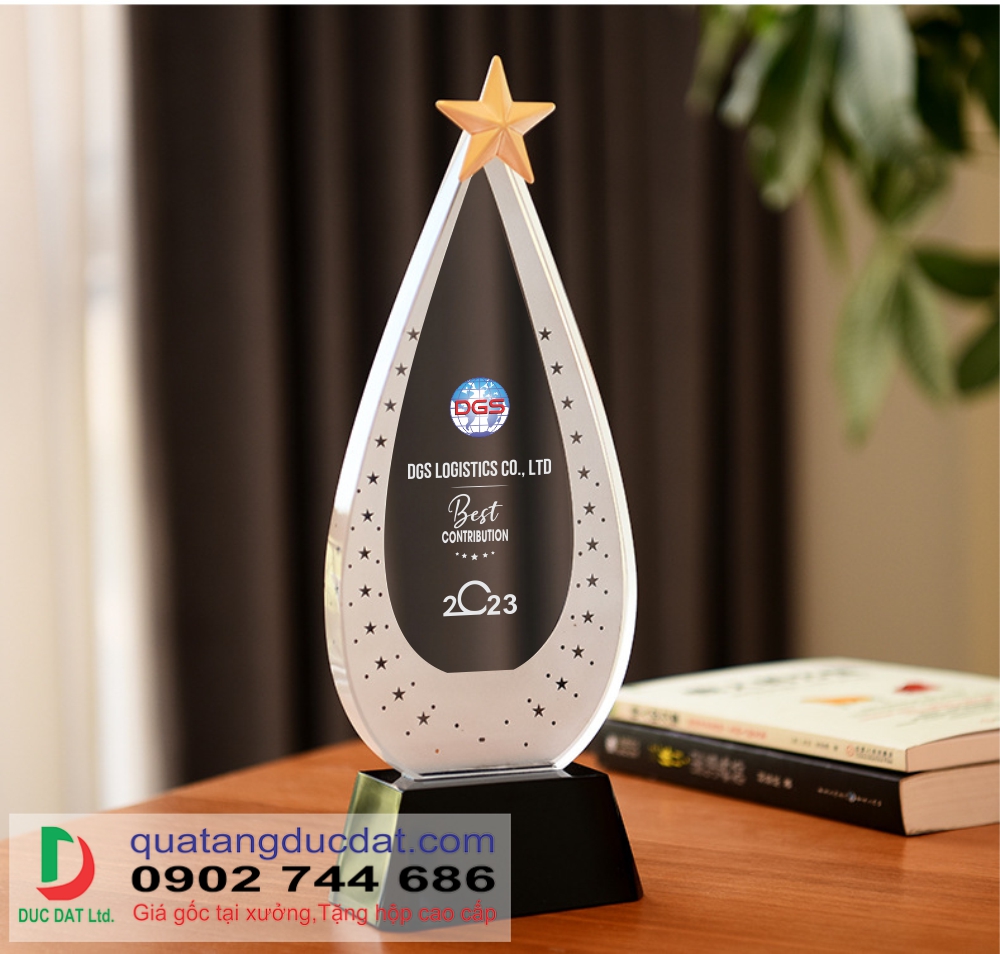 Kỷ niệm chương pha lê PL237