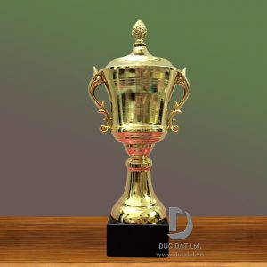 Cúp thể thao 100
