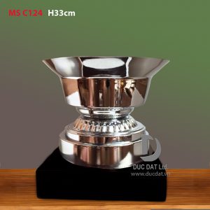 Cúp thể thao 26