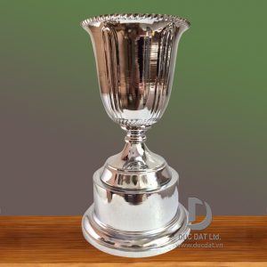 Cúp thể thao 29