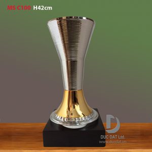 Cúp thể thao 30