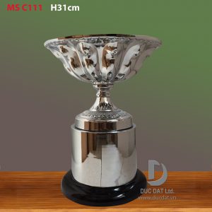 Cúp thể thao 32
