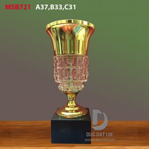 Cúp thể thao 38