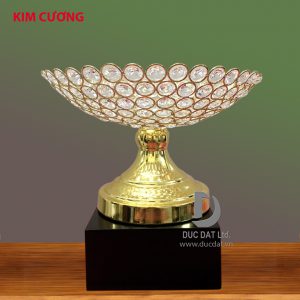 Cúp thể thao 40