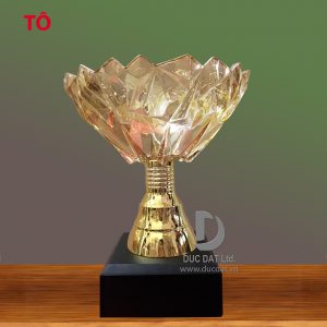 Cúp thể thao 45