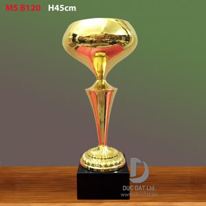 Cúp thể thao 46