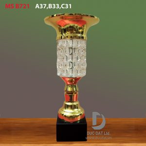 Cúp thể thao 48