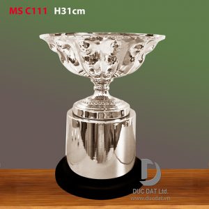 Cúp thể thao 53