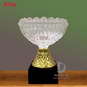 Cúp thể thao 65