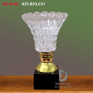 Cúp thể thao 70