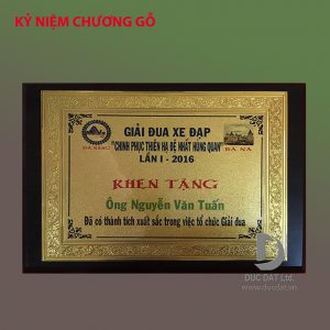Cúp thể thao 78