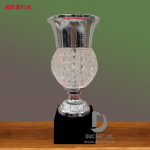 Cúp thể thao 85