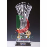 Cúp pha lê cao cấp 020