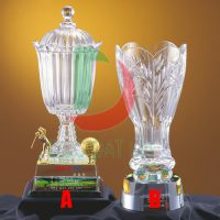 Cúp pha lê cao cấp 035