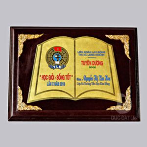 Kỷ niệm chương gỗ đồng GD07