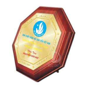Kỷ niệm chương gỗ đồng GD12
