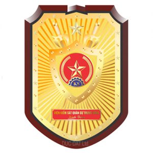 Kỷ niệm chương gỗ đồng GD20