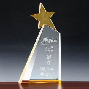 Kỷ nệm chương pha lê 11