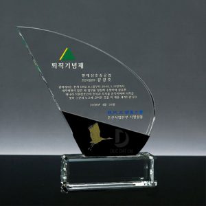 Kỷ niệm chương pha lê PL119