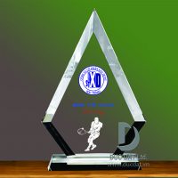 Kỷ Niệm Chương Tennis 03