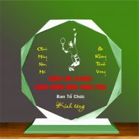 Kỷ Niệm Chương Tennis 08