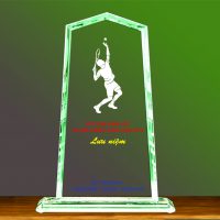 Kỷ Niệm Chương Tennis 22