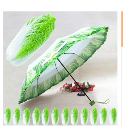 Dù hình bắp cải