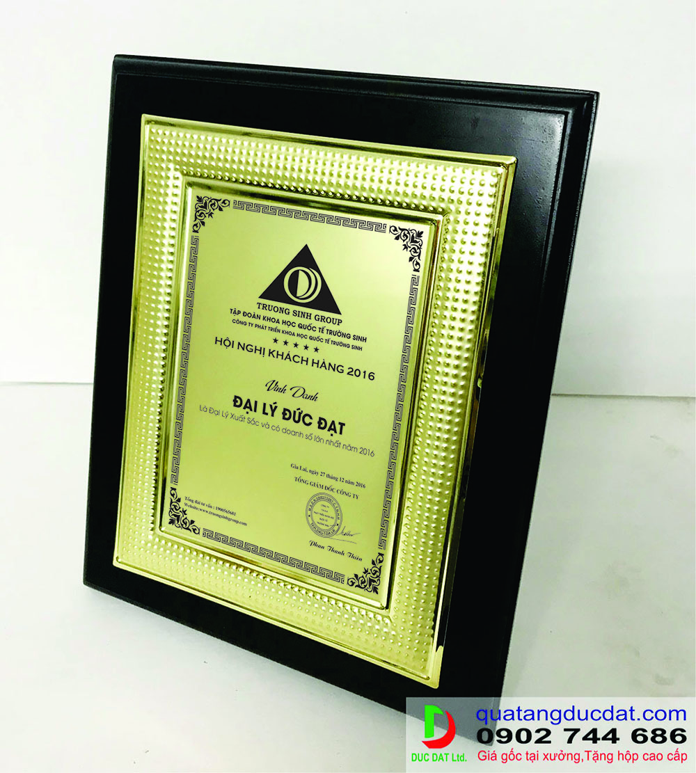 Kỷ niệm chương gỗ đồng 19